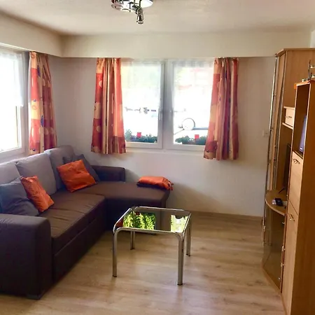 In Fee Near Slopes * 萨斯格伦德