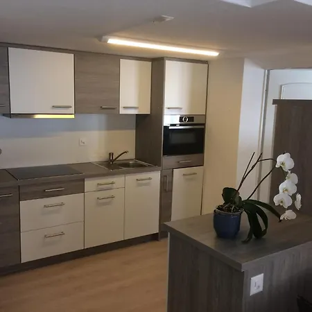 Apartment In Fee Near Slopes