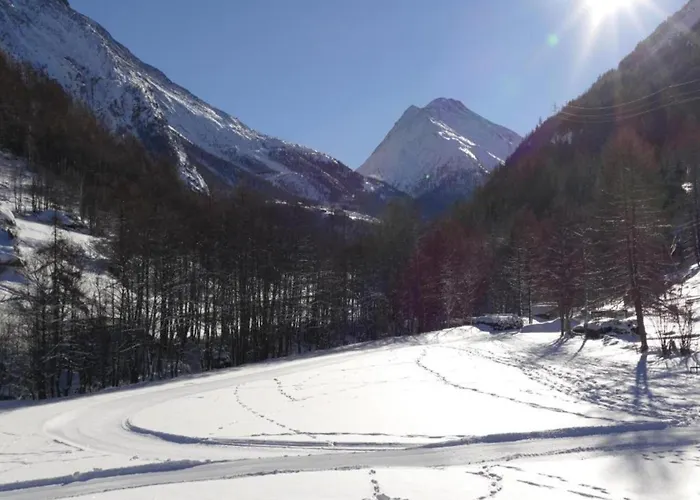 In Fee Near Slopes Appartamento *